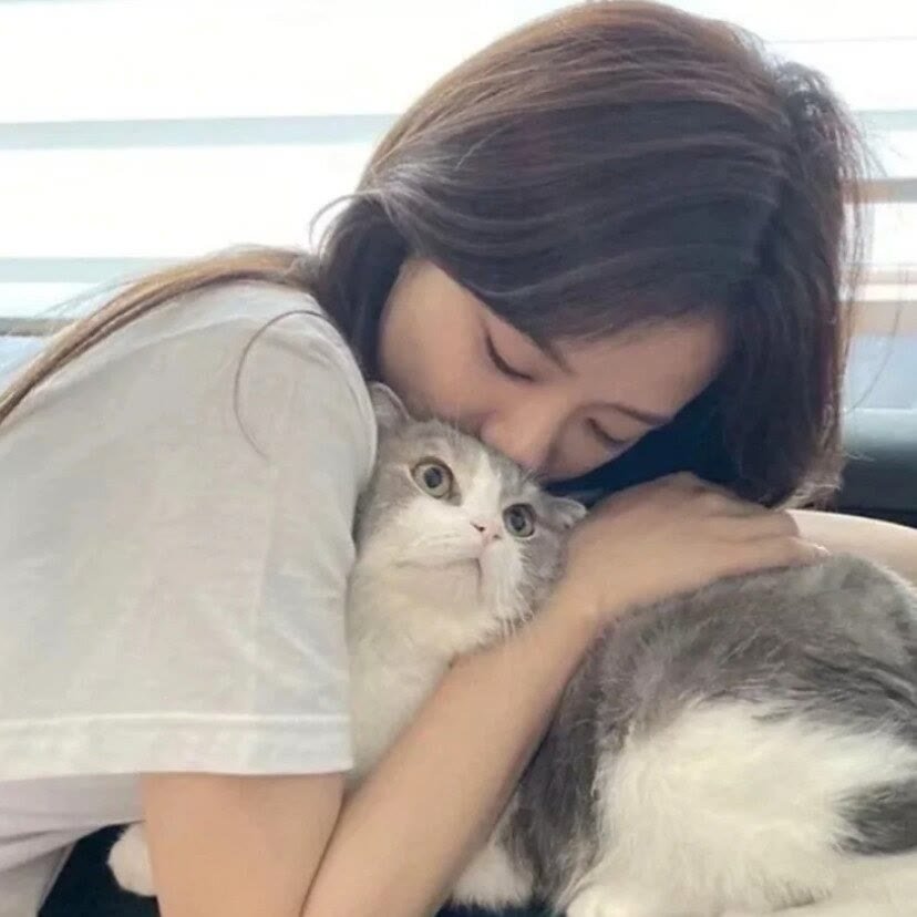 SEVENTEEN (세븐틴) 'My My' Official MV - YouTube SEVENTEEN (세븐틴) 'My My' Official MV - YouTube