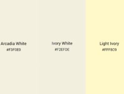 White Label Digital Wallet Solution Empower Your Business