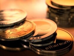 Which Crypto Wallet Has The Lowest Fees And Why It Matters